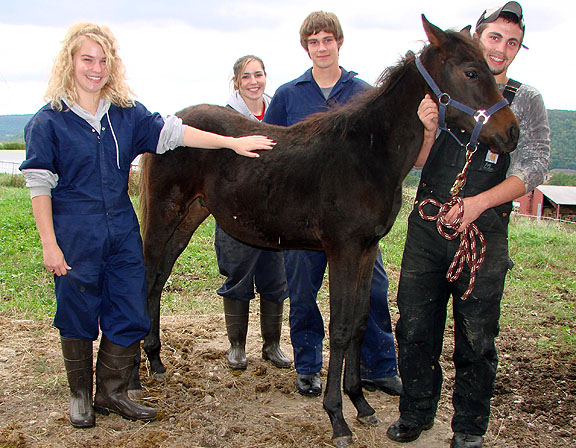 Rescued horse with ASC students